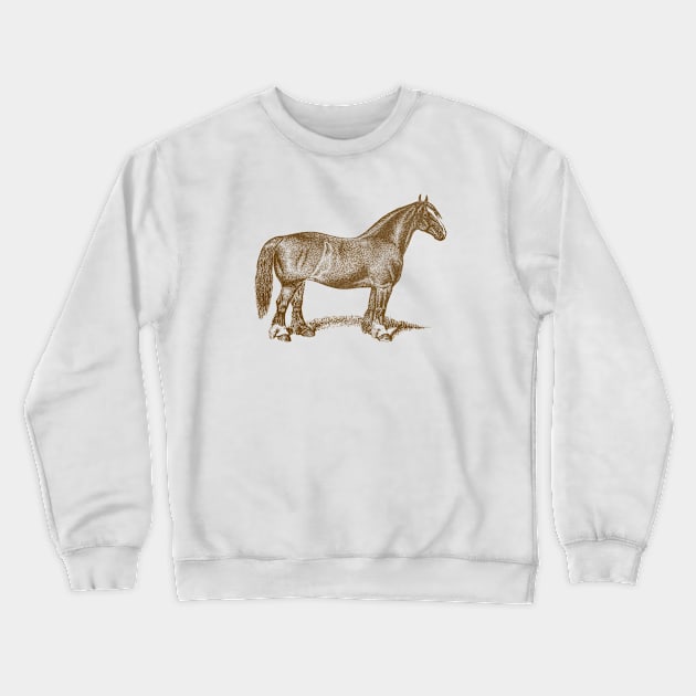 Draft Horse Mare Vintage Illustration Crewneck Sweatshirt by Biophilia